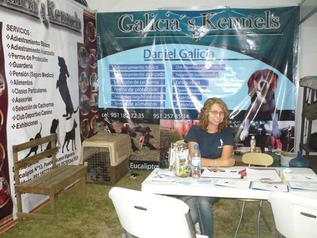 Trabajé en Expo Mascotas