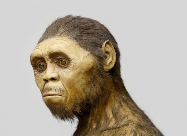 HOMO ERECTUS