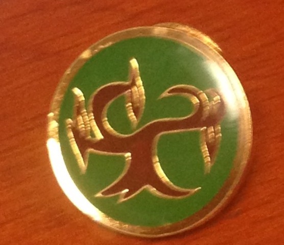 Recibí mi primera zarza