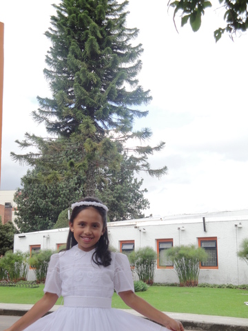 Mi primera comunión