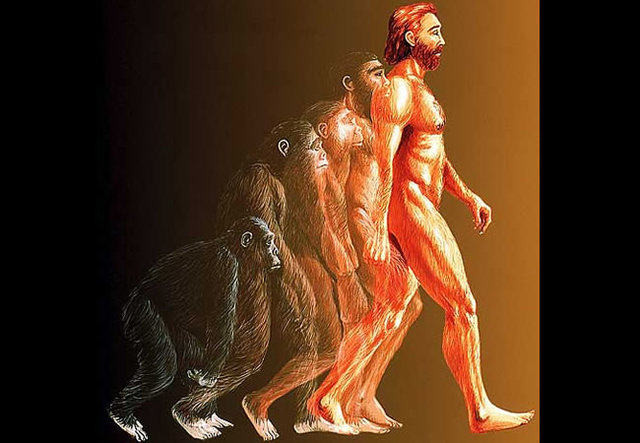 HOMO SAPIENS SAPIENS