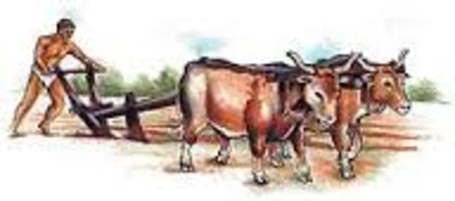 REVOLUCIÓN TENCNOLÓGICA EN LA AGRICULTURA