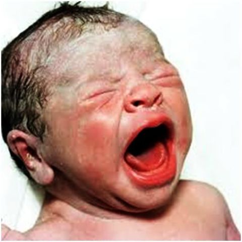 Infanticidio y brutalidad.