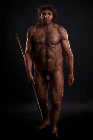 HOMO HEIDELBERGENSIS