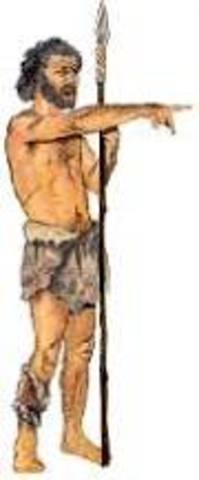 HOMO SAPIENS SAPIENS