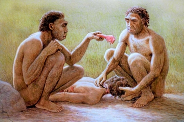 HOMO ANTECESSOR