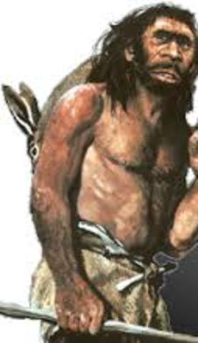 HOMO NEANDENTHALENSIS