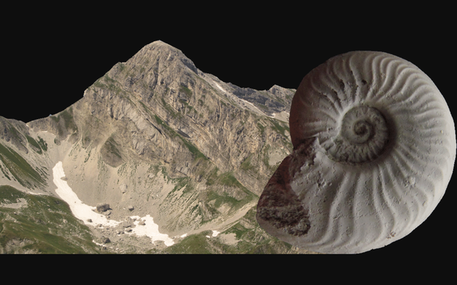 Nascita di moderna Geologia e Paleontologia