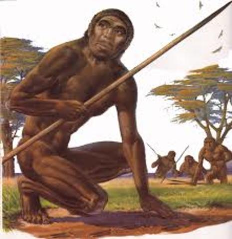 HOMO ERECTUS