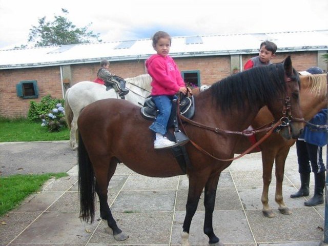 Empiezo a practicar equitacion (bolting)