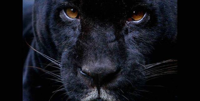 Um encontro inesperado