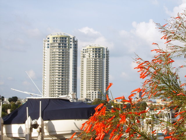 Tampa, FL, USA : 4TH OF JULY