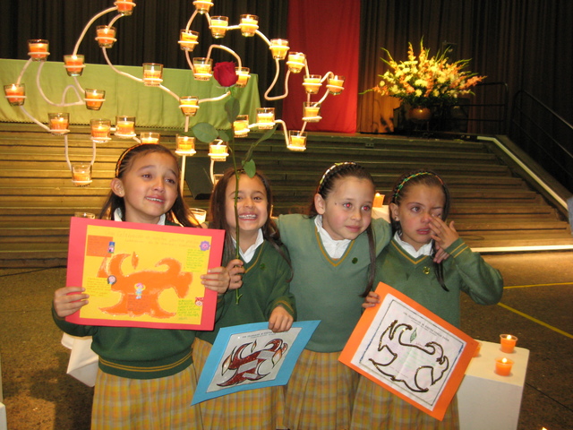 mi zarza de transicion