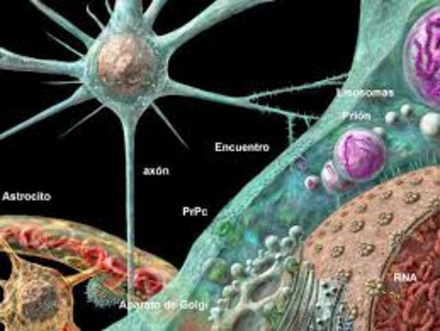 Investigacion del virus