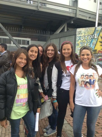 Fui al concierto de One Direction