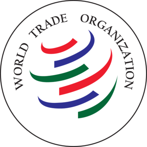 Formation of WTO