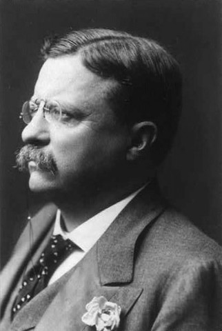Teddy Roosevelt becomes first president to leave the country