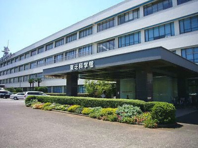 Progreso radical de industrias de Japón