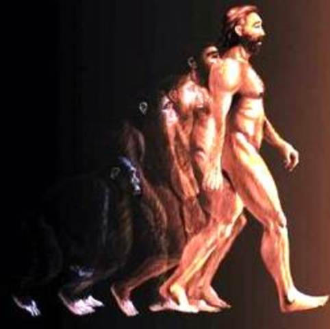 Homo sapiens sapiens