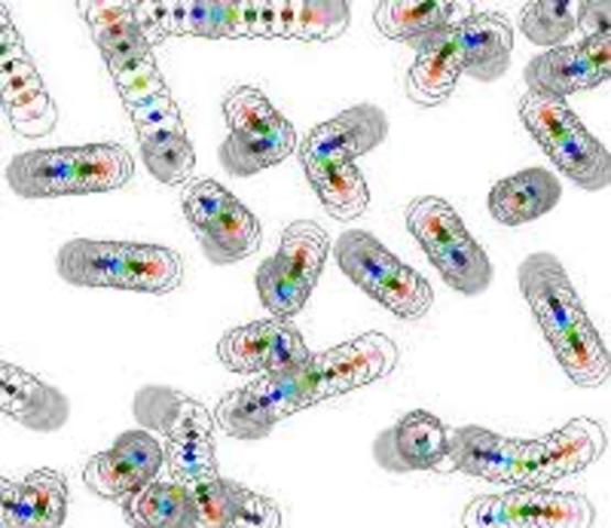 Dujų tūris molekulėse