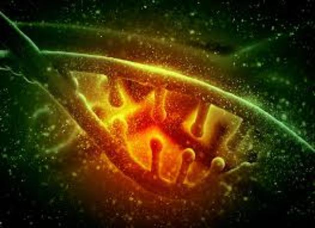 Analizė šilumos teorija