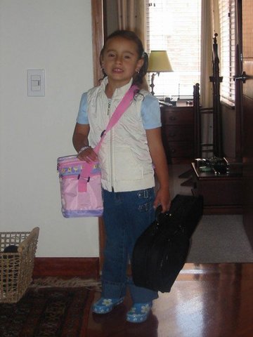 Empiezo a tomar clases de violin.