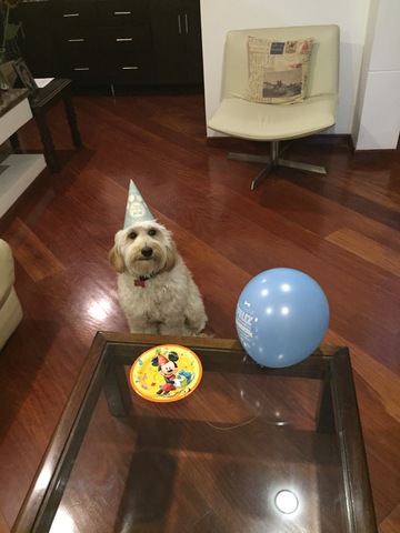 Primer cumpleaños de Teddy
