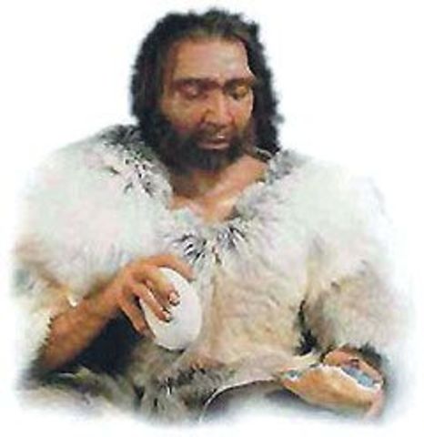 El Homo Sapiens Sapiens