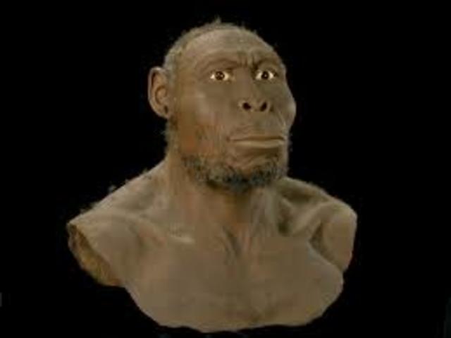 HOMO RUDOLFENSIS