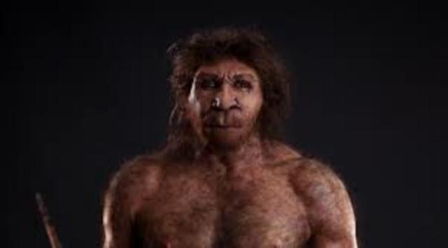 HOMO HEIDELBERGENSIS