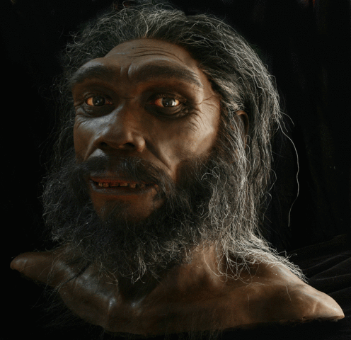 Homo heidelbergensis