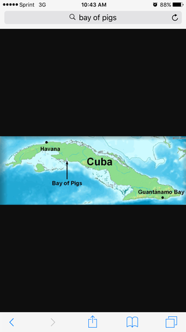 Bay of pigs