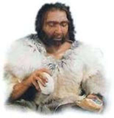 Homo Sapiens Sapiens