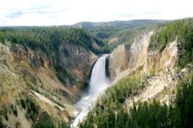 Yellowstone park
