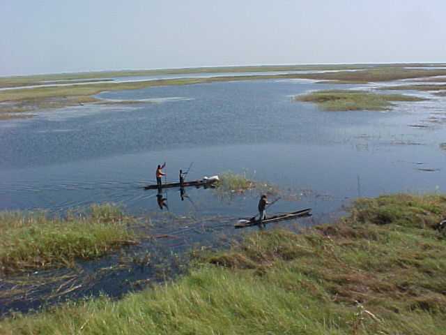 Descobriment llac de Bangweulu