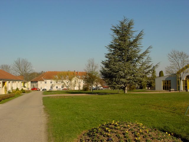 Institut Médico Technique