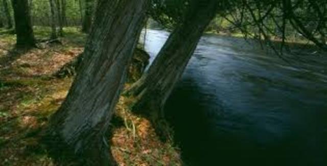 Environmental Change