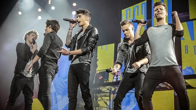 Estuve en el concierto de mi banda favorita, One Direction.