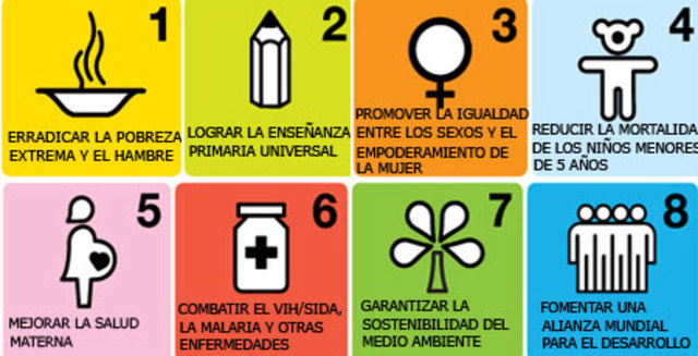 OBJETIVOS DEL NUEVO MILENIO