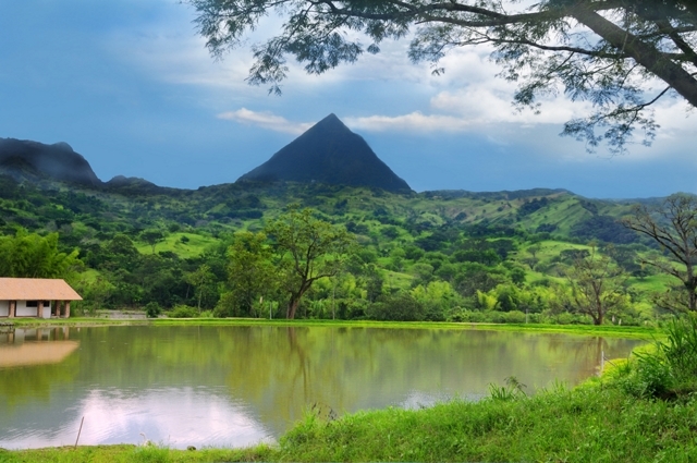 Año nuevo, vida nueva