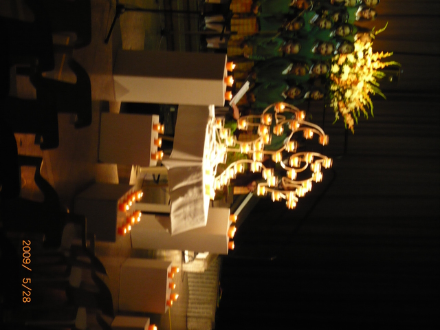 Recibí mi primera Zarza.