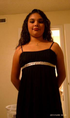 Yo asisti a mi primer baile en la escuela en 2011. Fue el baile de invierno. Bailé toda la noche.