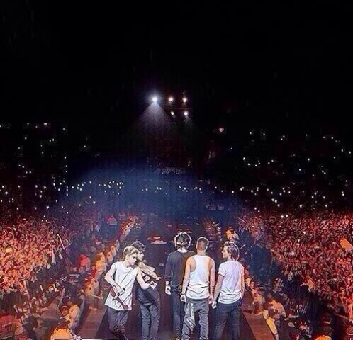 Fui al concierto de One Direction en Colombia