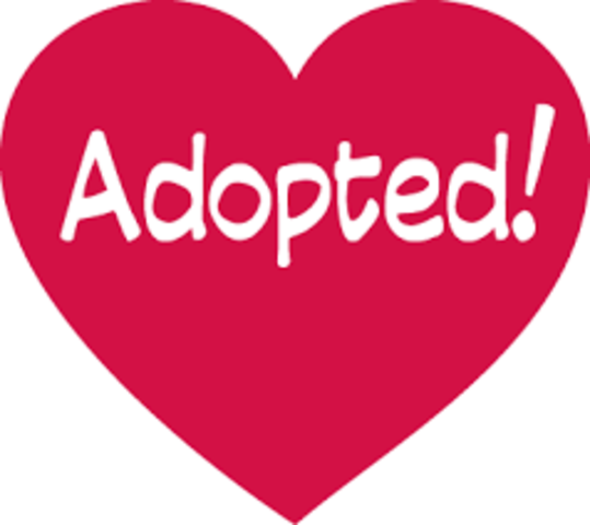 adoptiva