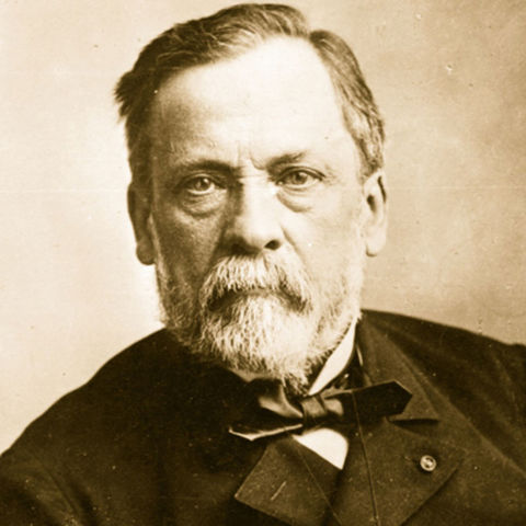 Louis Pasteur Disporved Spontaneous Generation