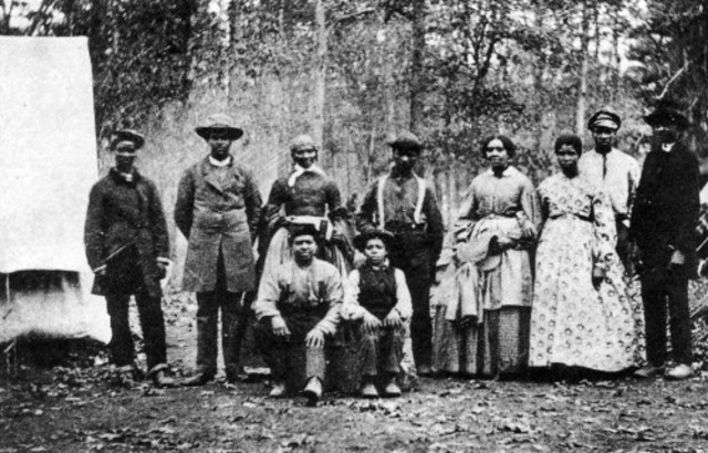 The Freedmen