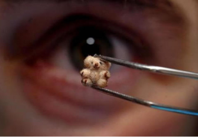 WORLDS SMALLEST TEDDY BEAR