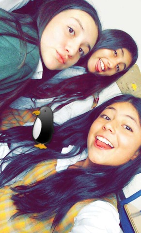 comencé el bachillerato en el colegio SFR