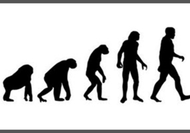 Published his theory