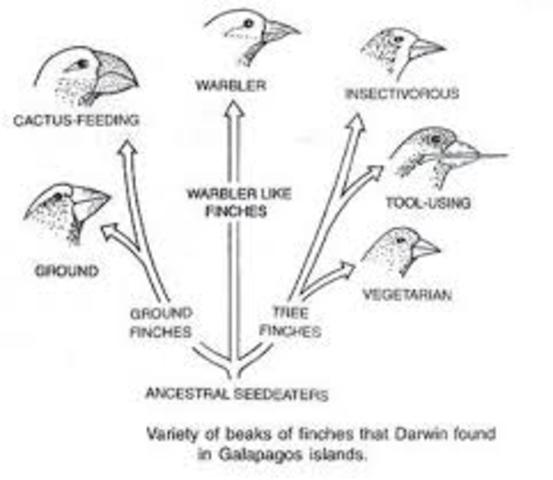 Began his journey to discovery